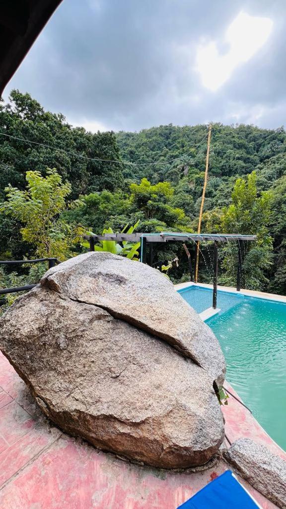 Minca Cabana La Roca Santa Marta  Kültér fotó