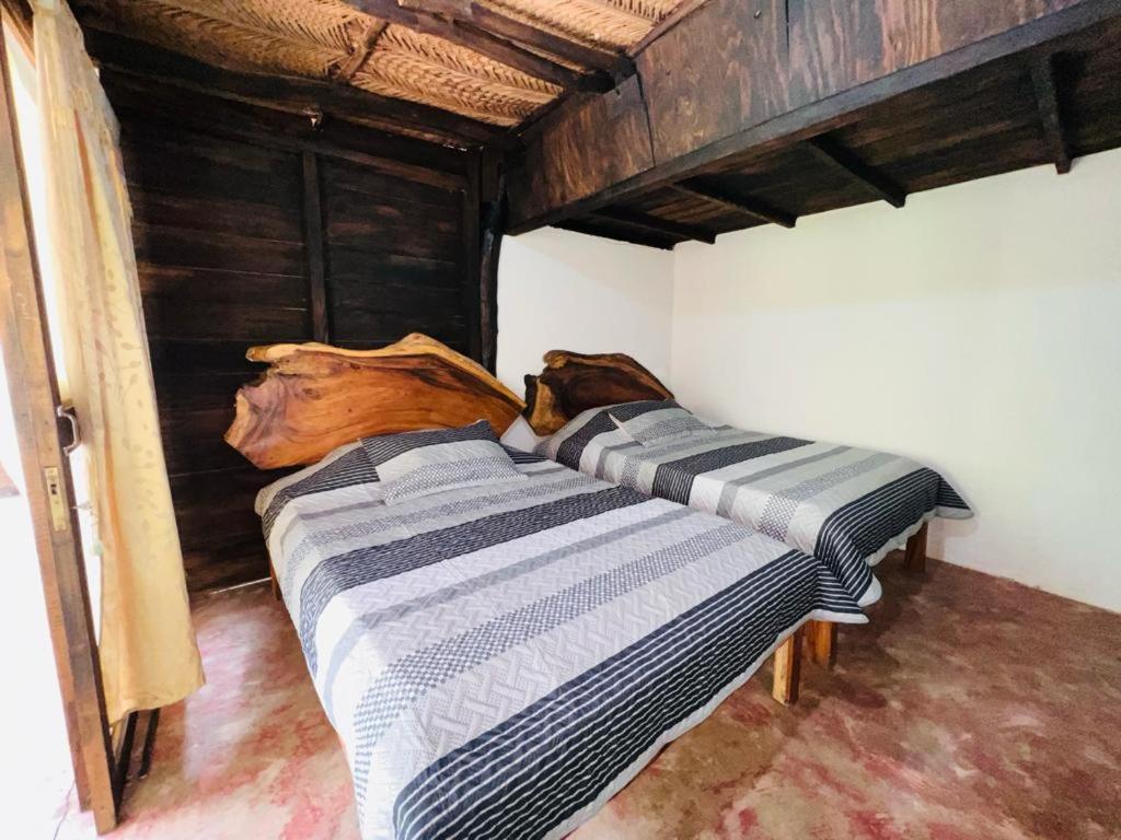 Minca Cabana La Roca Santa Marta  Kültér fotó