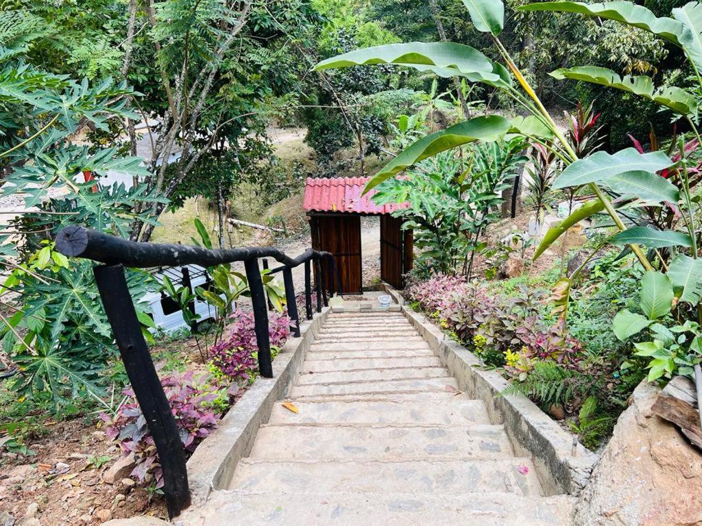Minca Cabana La Roca Santa Marta  Kültér fotó