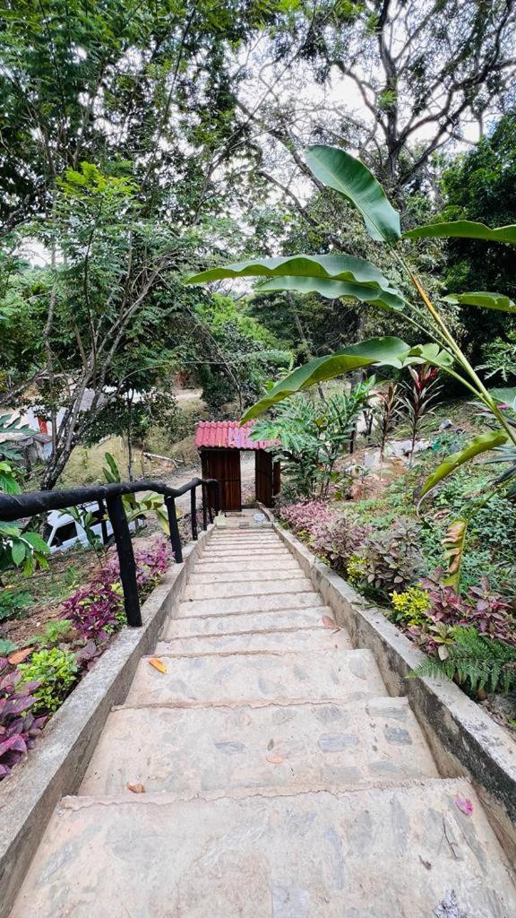 Minca Cabana La Roca Santa Marta  Kültér fotó